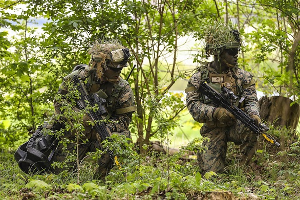 FIWAF (Fighting in Woods and Forests) training with United States Marines Corps Fox Company 2nd Battalion 4th Marine Regiment 1st Marine Division of Camp Pendleton, California.